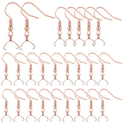 50Pcs 304 Stainless Steel Earring Hooks STAS-SC0010-74RG-1