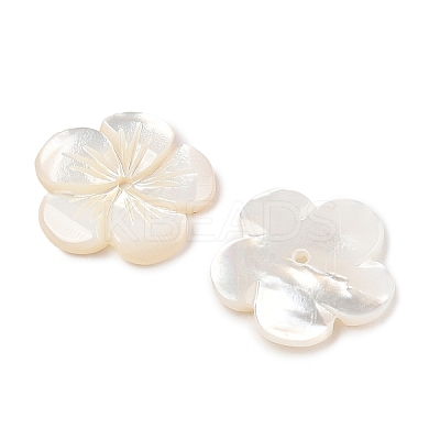 Natural White Shell Carved Beads SSHEL-I026-12F-07-1