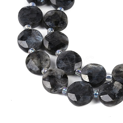 Natural Larvikite Beads Strands G-C116-A45-01-1