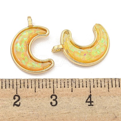Translucent Resin Pendants KK-M291-23G-01-1