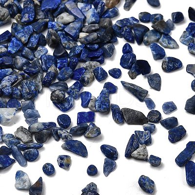 Natural Lapis Lazuli Chip Beads G-L453-05-1