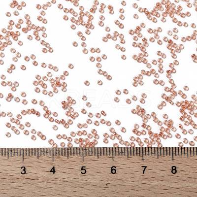 MIYUKI Round Rocailles Beads X-SEED-G009-RR0539-1