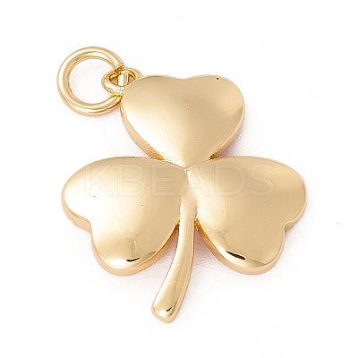 Brass Enamel Pendants KK-P217-03G-01-1