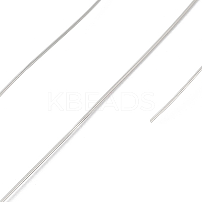Non-Tarnish 10 Rolls 304 Stainless Steel Wire TWIR-H001-01F-P-1