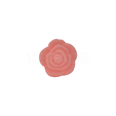 Food Grade Eco-Friendly Silicone Focal Beads FIND-PW0005-03M-1