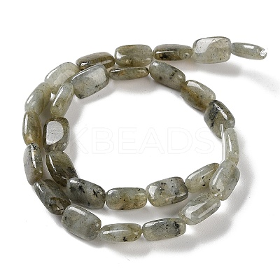 Natural Labradorite Beads Strands G-K357-D16-01-1
