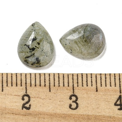 Natural Labradorite Cabochons G-Q173-02C-07-1