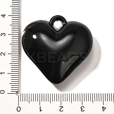 Acrylic Pendants OACR-S043-02B-01-1