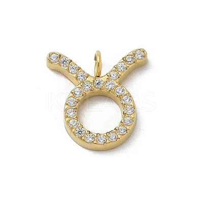 Ion Plating(IP) 304 Stainless Steel Micro Pave Cubic Zirconia Charms STAS-Z107-09G-03-1