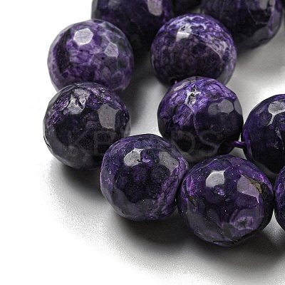 Faceted Natural Fire Crackle Agate Beads Strands G-F447-12mm-J09-1