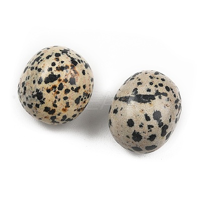 Natural Dalmatian Beads G-G348-01B-48-1