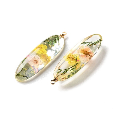 Inner Dried Flower Transparent Resin Pendants RESI-A043-01B-1