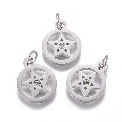316 Surgical Stainless Steel Charms STAS-L242-04P-1