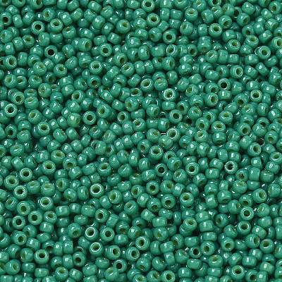 MIYUKI Round Rocailles Beads X-SEED-G007-RR4477-1