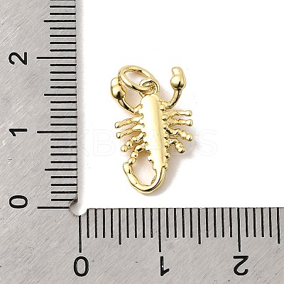 Brass Charms KK-I364-05G-04-1