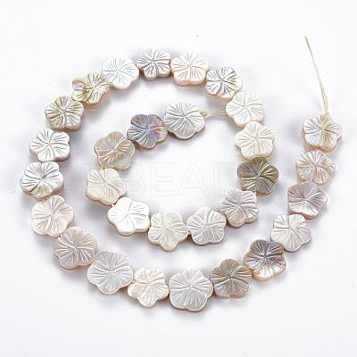 Electroplated Natural Freshwater Shell Beads Strands SHEL-N026-164-1