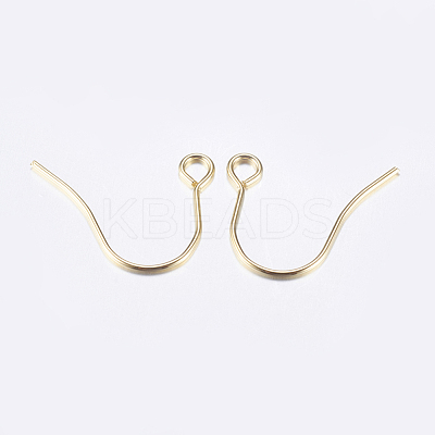 304 Stainless Steel Earring Hooks STAS-P162-13P-B-1
