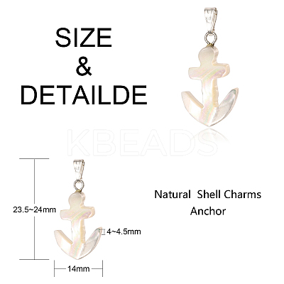 Natural Trochid Shell/Trochus Shell Pendants BSHE-CJC0002-12-1