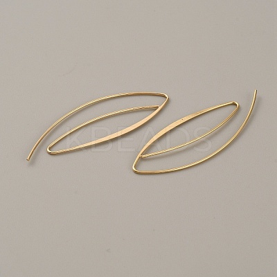 Brass Spiral Oval Dangle Earrings EJEW-WH0012-005-1