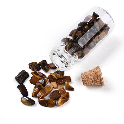 Glass Wishing Bottle Display Decorations AJEW-T013-02H-1