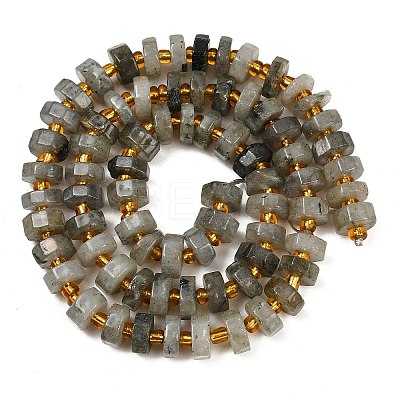 Natural Labradorite Beads Strands G-F796-A05-01-1