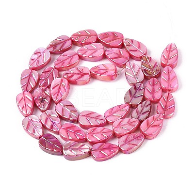 Natural Freshwater Shell Carved Beads Strands SHEL-N038-25E-1