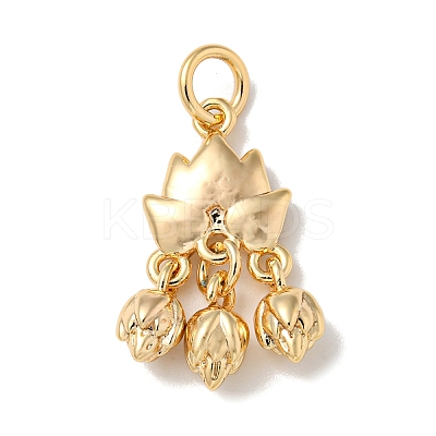 Brass Pendants KK-K378-10G-1