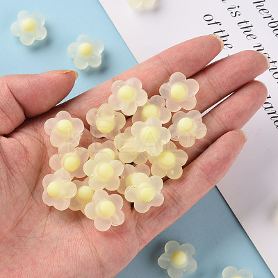 Transparent Acrylic Beads TACR-S152-09C-07-1