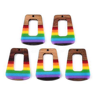 Opaque Resin & Walnut Hollow Pendants RESI-TAC0026-05T-1