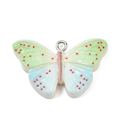 Opaque Resin Pendants RESI-I351-01P-1