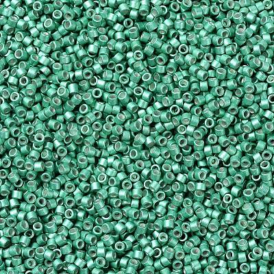 MIYUKI Delica Beads SEED-X0054-DB1182-1
