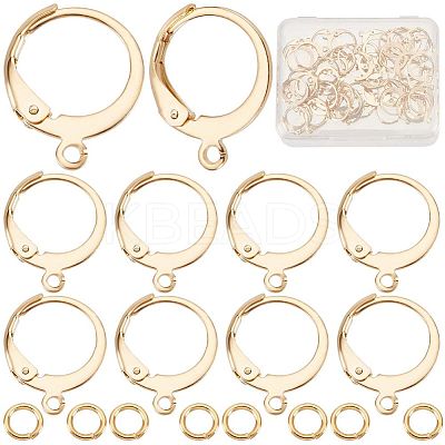 60Pcs 304 Stainless Steel Leverback Earring Findings DIY-CN0002-54-1