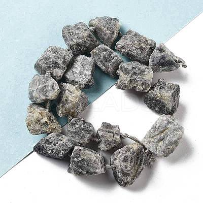Raw Rough Natural Labradorite Beads Strands G-J388-A07-01-1