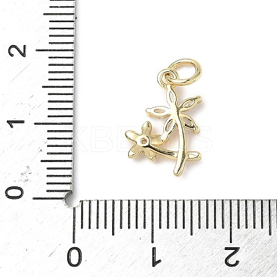 Brass Micro Pave Cubic Zirconia Charms LS-ZIRC-I356-32G-1