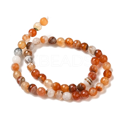 Natural Agate(Dyed & Heated) Beads Strands G-H066-B05-02-1