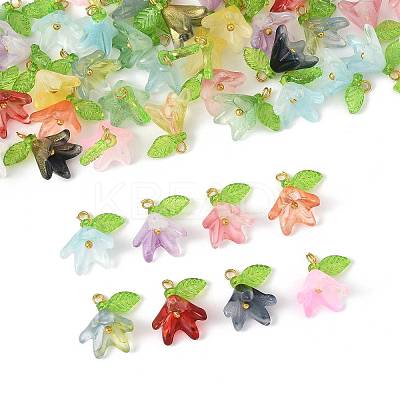 50Pcs Transparent Acrylic Pendants PALLOY-FS00043-02-1