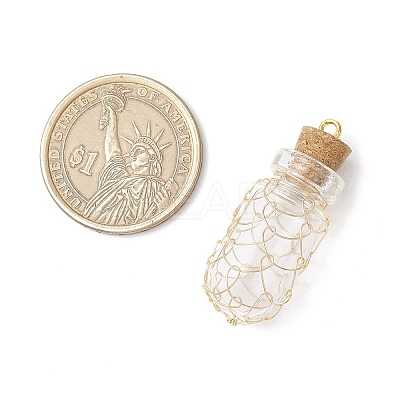 Glass Bottles Pendants PALLOY-JF03918-1