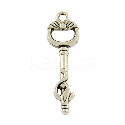 Tibetan Style Alloy Skeleton Key Pendants TIBEP-20586-AS-LF-1