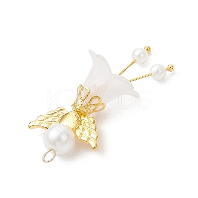 Frosted Acrylic Pendants PALLOY-JF04047-1