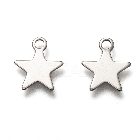 Non-Tarnish 201 Stainless Steel Charms STAS-B001-14B-P-1