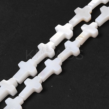 Natural Freshwater Shell Beads Strands X-BSHE-E026-18-1