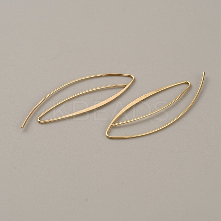 Brass Spiral Oval Dangle Earrings EJEW-WH0012-005-1