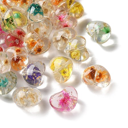 Transparent Resin Beads RESI-B031-02C-1