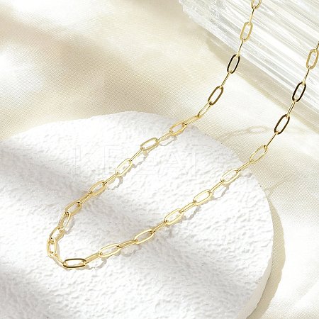 Brass Paperclip Chain Necklaces NJEW-A042-17G-02-1