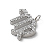 304 Stainless Steel Micro Pave Cubic Zirconia Charms STAS-Z107-09P-10-2