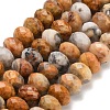 Natural Crazy Agate Beads Strands G-C259-A04-6x10mm-2