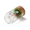 Natural Mixed Gemstone Chips Money Tree in Dome Glass Bell Jars with Wood Base Display Decorations DJEW-K030-02-3