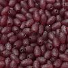 Transparent Colours Glass Seed Beads SEED-F006-03A-07-3