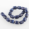 Dyed Natural Lapis Lazuli Bead Strands G-E211-07-2