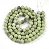 Baking Paint Glass Beads Strands DGLA-N013-10mm-05-2